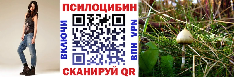 Галлюциногенные грибы Psilocybine cubensis  Киров 